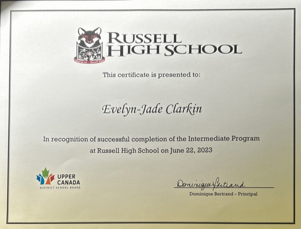 Intermediate Program Completion certificate